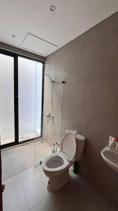 Humming Birds Rawa Buntu