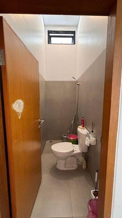 Humming Birds Rawa Buntu