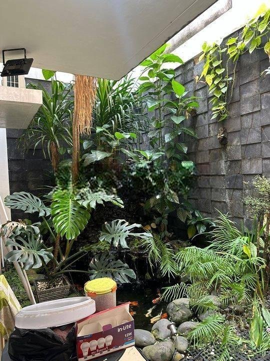 Rumah di Cluster Flamingo the springs. Murah