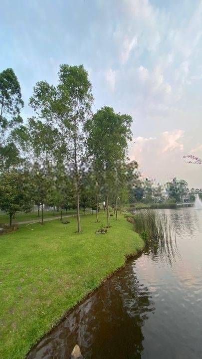 Termurah di Rossini Symphonia best price