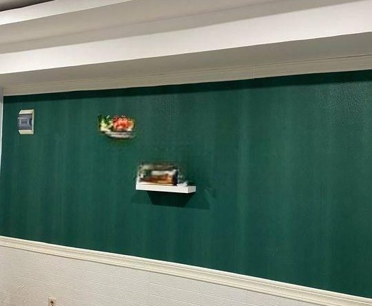 Apartemen Green Park View 2 BR Furnished Murah