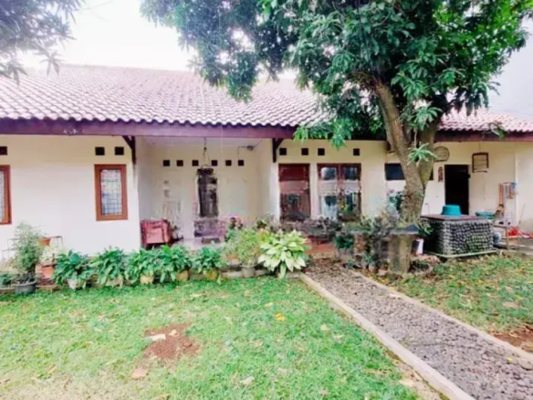 Rumah Bagus Turun Harga Dari Rp 10 M Ke Rp 8