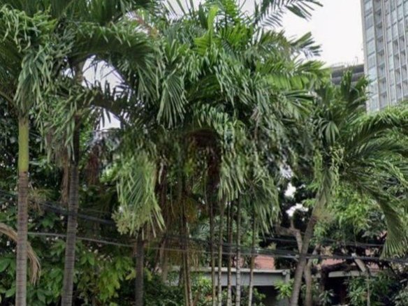 Rumah di Jalan Cempaka Putih Raya 6 Rumah di Jalan Cempaka Putih Raya Rumah di Jalan Cempaka Putih Raya