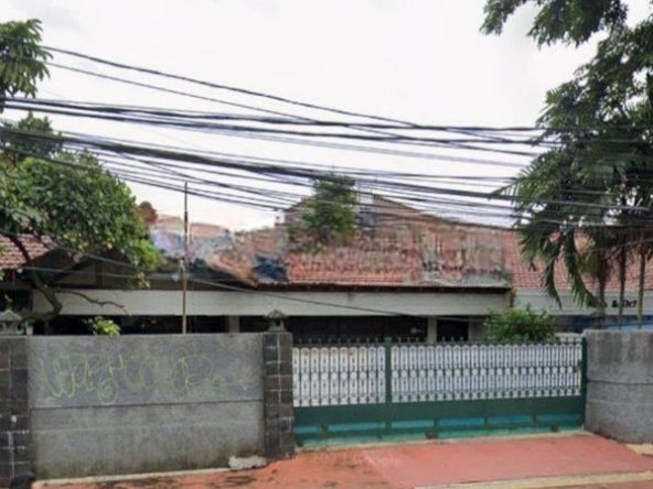 Cempaka Putih tengah pinggir jalan raya