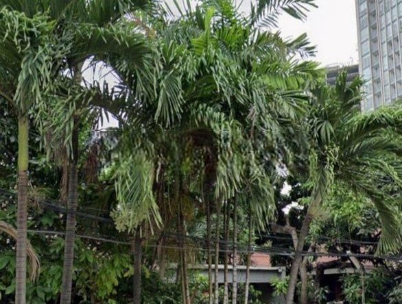 Cempaka putih tengah raya pinggir jalan untuk usaha