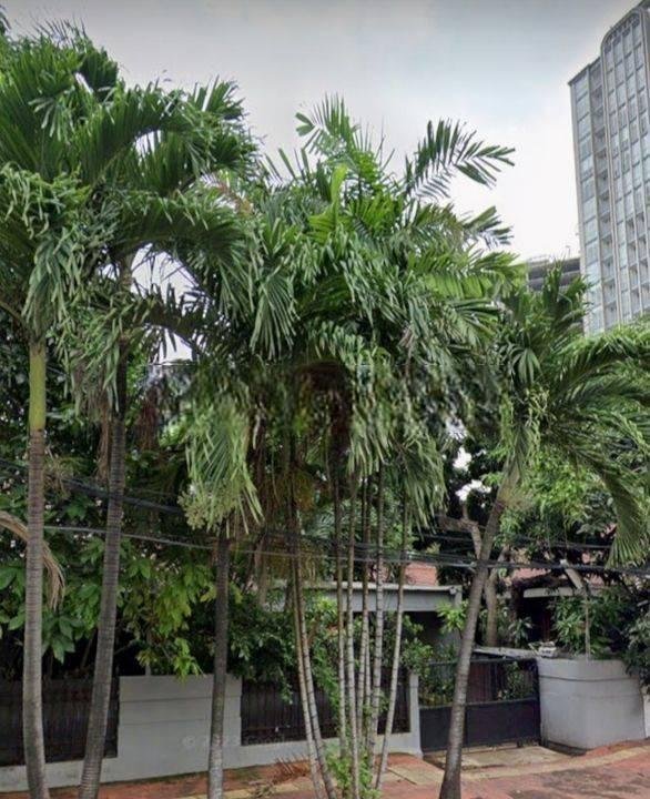 Cempaka putih tengah raya pinggir jalan untuk usaha