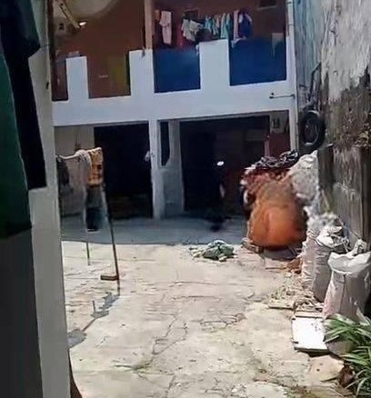 Rumah kontrakan Dan Kos 15 Pintu 365 m2 Full Penghuni Di Jatiwaringin Jakarta Timur 26 Rumah kontrakan Dan Kos 15 Pintu 365 m2 Full Penghuni Di Jatiwaringin Jakarta Timur Rumah kontrakan Dan Kos 15 Pintu 365 m2 Full Penghuni Di Jatiwaringin Jakarta Timur