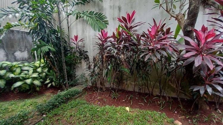 For Rent House Single House Disewakan Cepat Rumah Bangunan 1 Lantai Mewah Single House Taman Cantik Siap Huni Big Garden Harga Murah Good Location Dekat Sekolah Prancis Taman Luas dan Besar Lokasi Strategis harga miring Dan Mrt Dan Kebayoran Baru Dan Kema