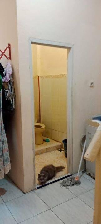 ANA RUMAH UK 4X12M DI JELAMBAR